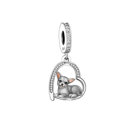 Chihuahua Puppy Charm