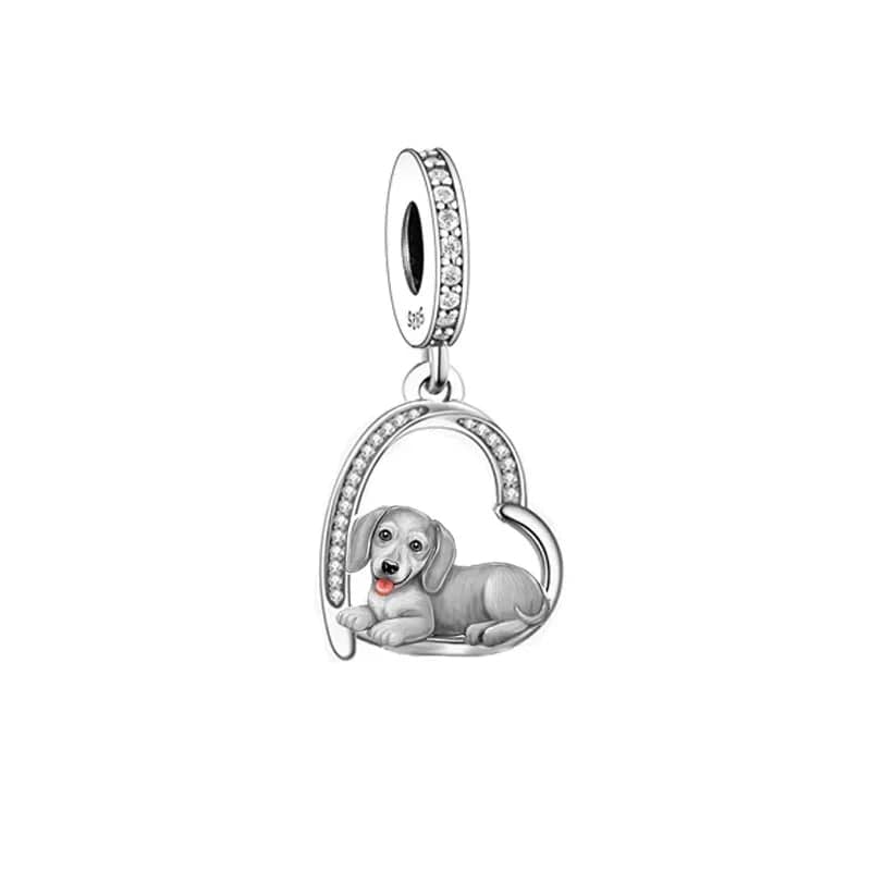 Dachshund Puppy Charm