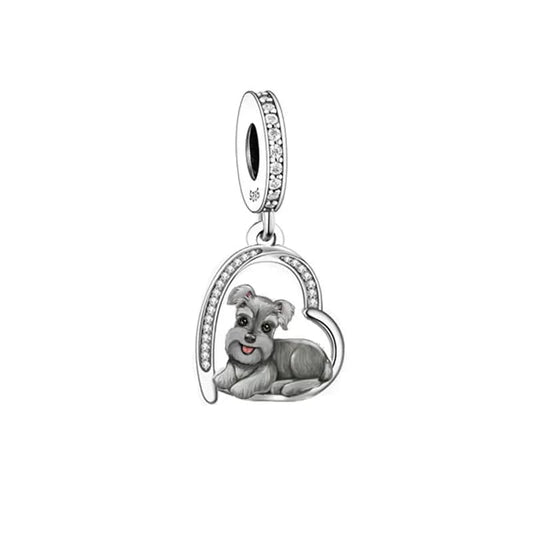 Schnauzer Puppy Charm